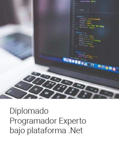 Diplomado programador experto bajo plataforma .Net